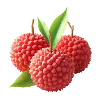 Lichi
